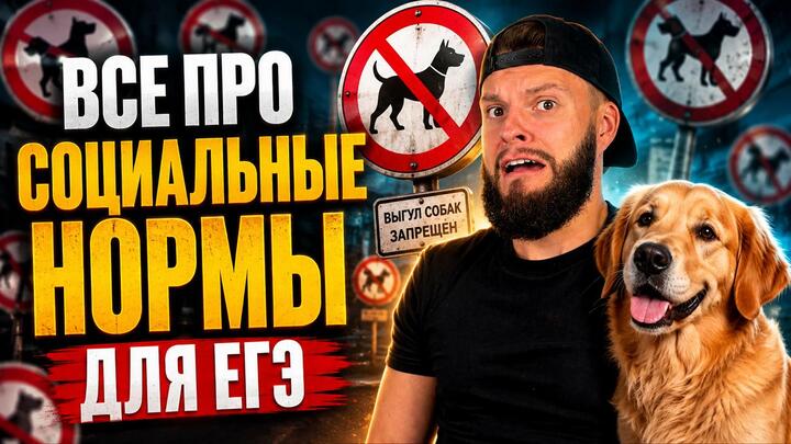 Социальные нормы для ЕГЭ по обществознанию