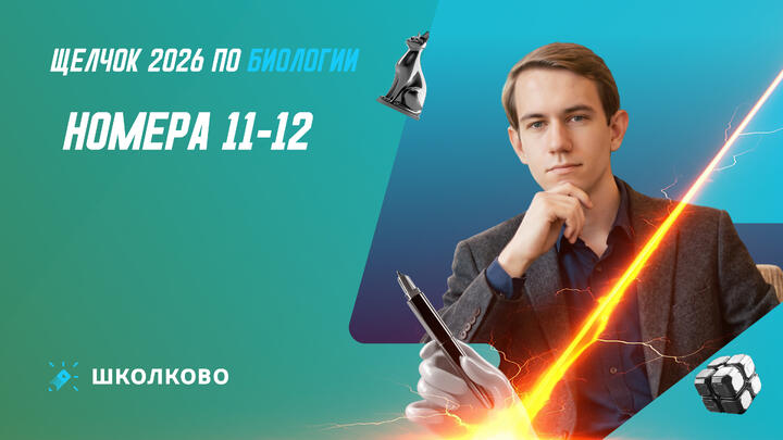 Номера 11-12