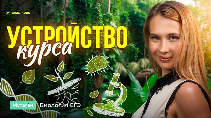 Принцип № 1: Устройство курса