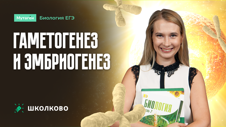 Гаметогенез и эмбриогенез | Щелчок подготовка к ЕГЭ 2025 по Биологии