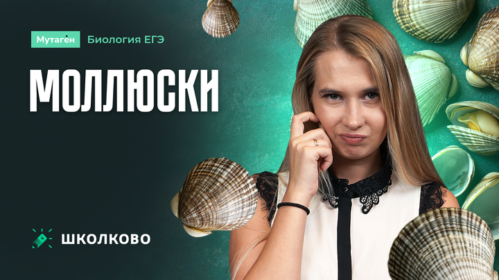 Моллюски