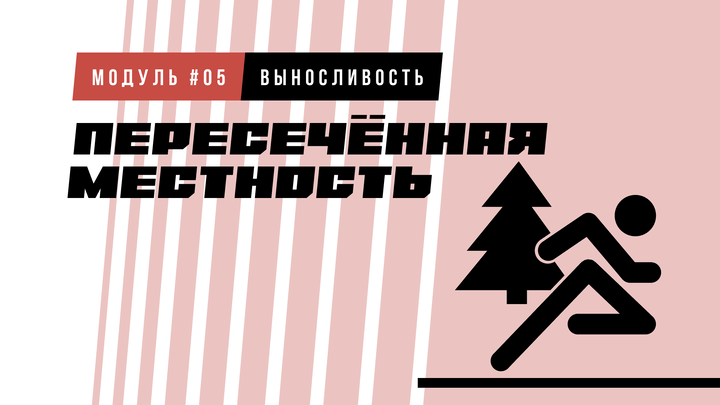 Кросс по пересечённой местности