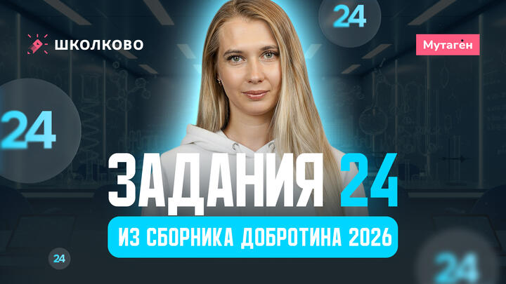 Разбор всех заданий 24 из сборника Добротина 2026