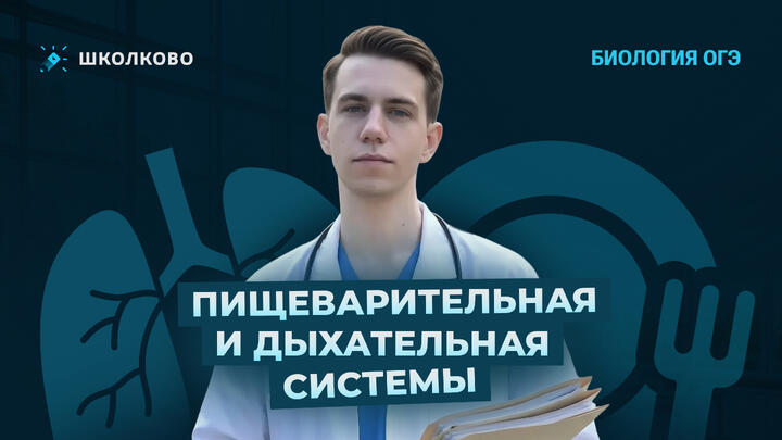 Пищеварительная и дыхательная системы