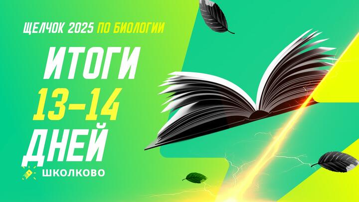 Итоги 13 и 14 дней щелчка