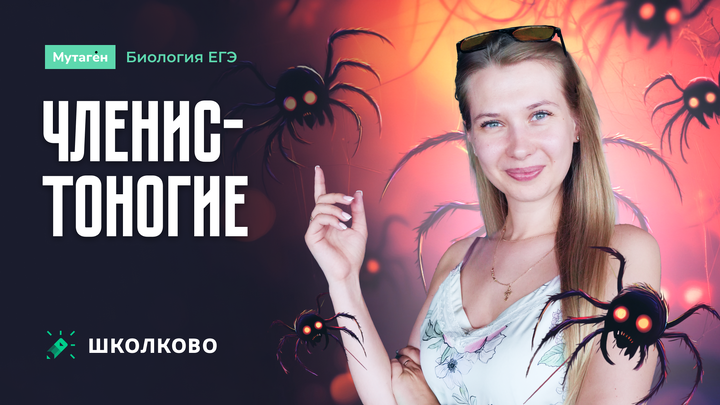 Членистоногие