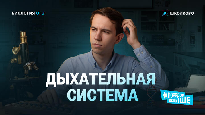Дыхательная система