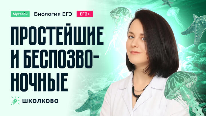 Простейшие и беспозвоночные