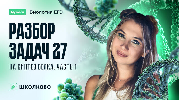 Разбор задач 27 на синтез белка. Часть 1
