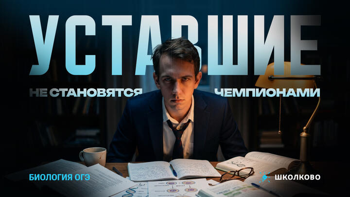 Уставшие не становятся чемпионами