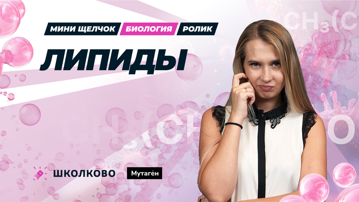 Ролик. Липиды | подготовка к ЕГЭ по биологии 2025