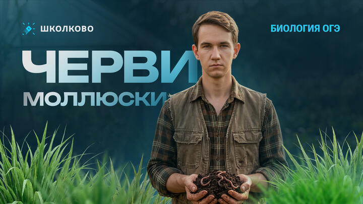 Черви, моллюски