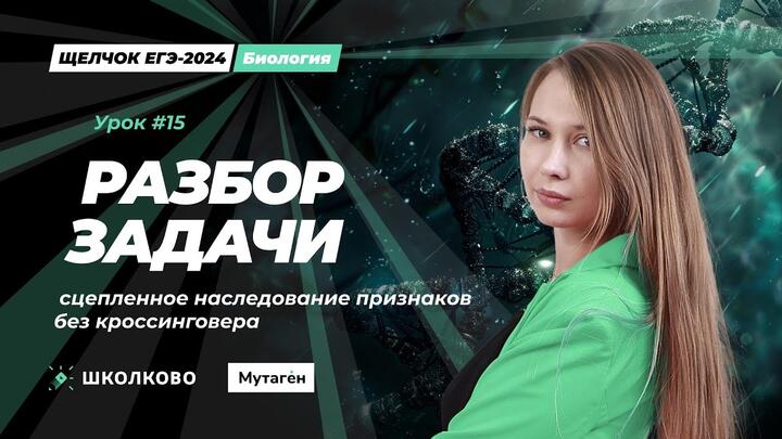 Разбор задачи на сцепленное наследование признаков без кроссинговера.