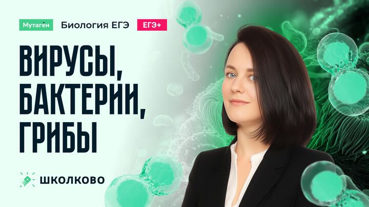 Вирусы, бактерии, грибы | Углубленный курс подготовки к ЕГЭ 2026 по биологии 