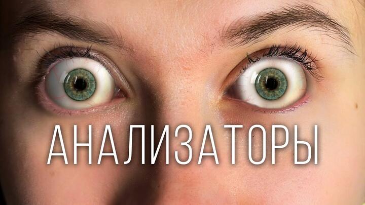 Анализаторы для ЕГЭ 2024 по биологии