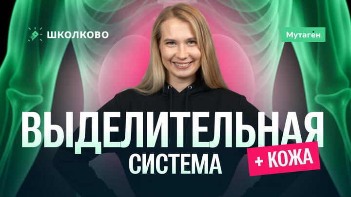 Выделительная система. Кожа | Подготовка к ЕГЭ - 2026 по Биологии