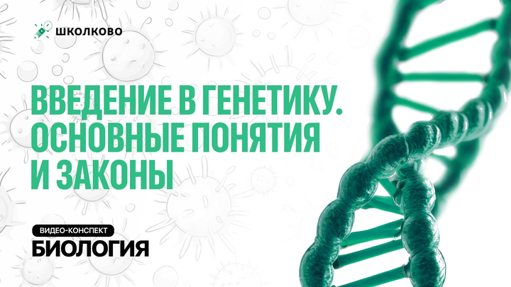 Видео конспект: генетика. основные понятия. 