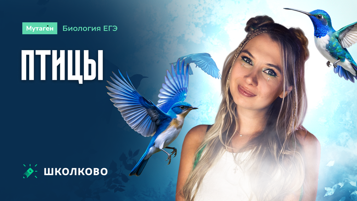 Птицы