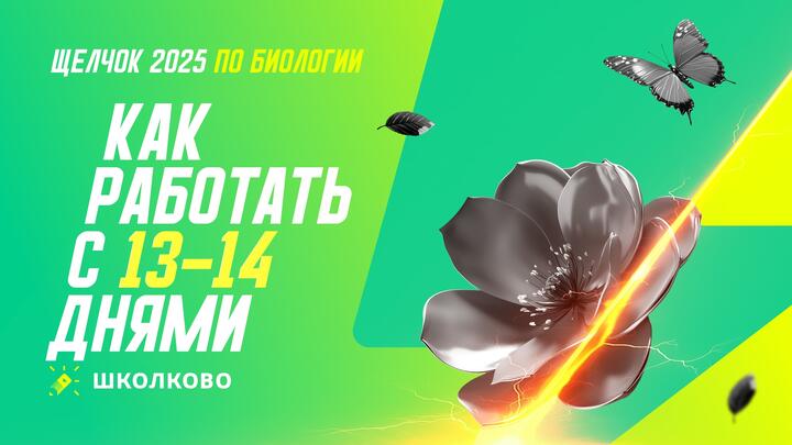 Как работать с 13 - 14 днями щелчка