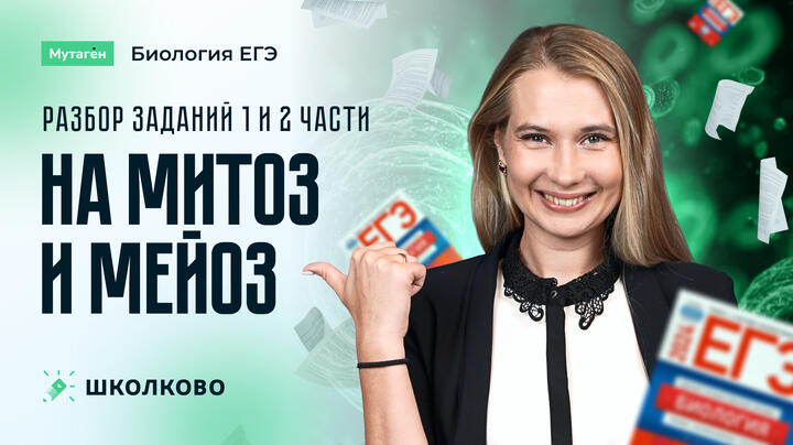 Разбор заданий 1 и 2 части на митоз и мейоз 