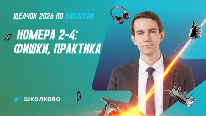 Номера 2-4: фишки, практика