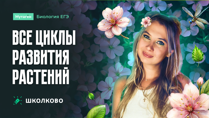 Все циклы развития растений | Щелчок подготовка к ЕГЭ 2025 по Биологии