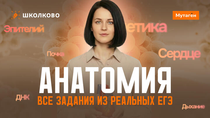 Разбор всех заданий по анатомии из реальных егэ прошлых лет