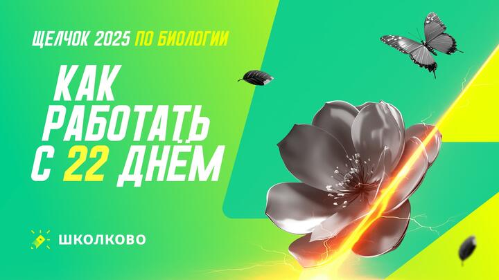 Как работать с 22 днем щелчка 