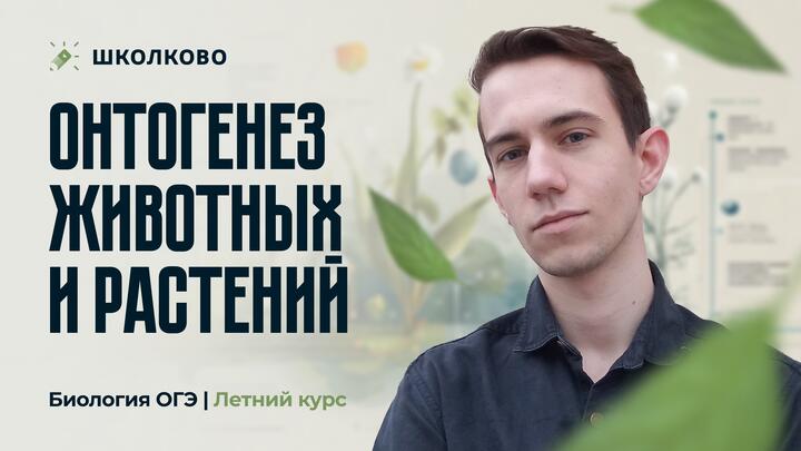 Онтогенез животных и растений.