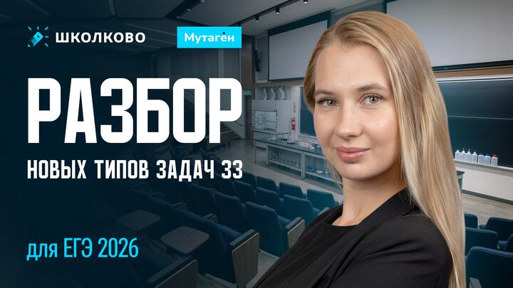 Разбор новых типов задач 33 для ЕГЭ 2026