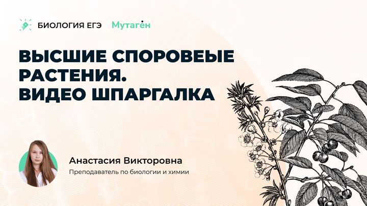 Высшие споровые растения. Видео шпаргалка
