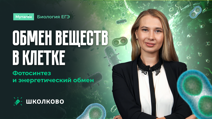 Обмен веществ в клетке: Фотосинтез и Энергетический обмен | Щелчок по Биологии 