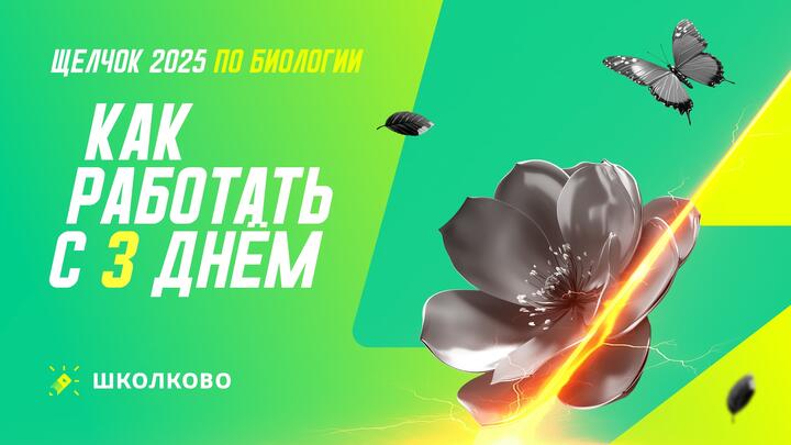 Как работать с 3 днем щелчка