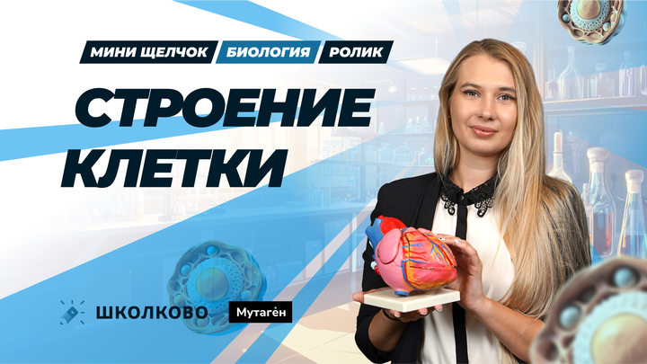 Ролик: строение клетки