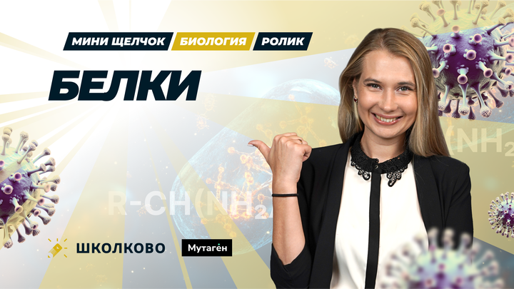 Ролик. Белки