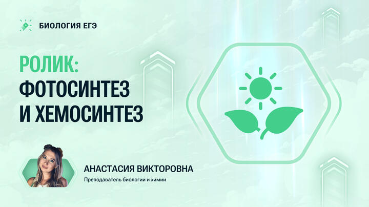 Ролик: фотосинтез 