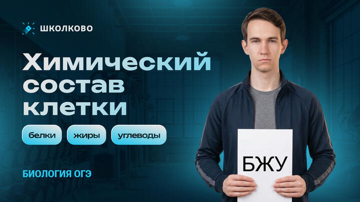 Химический состав клетки (белки, жиры, углеводы)