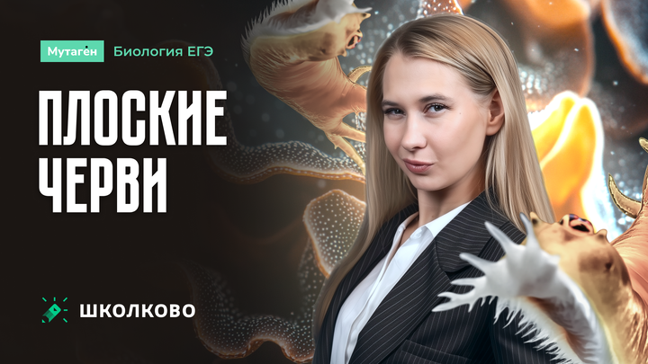 Плоские черви