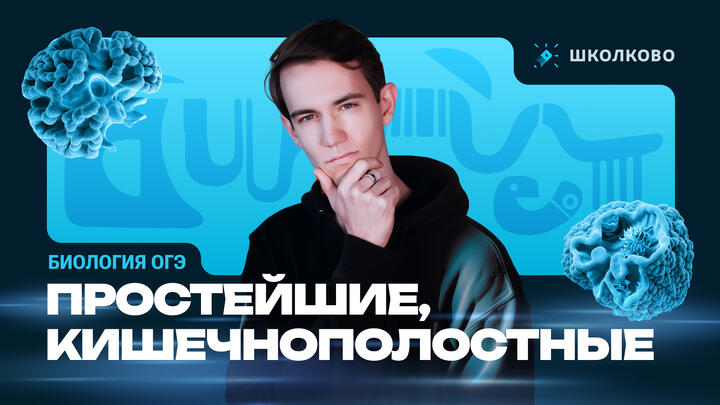 Простейшие, кишечнополостные