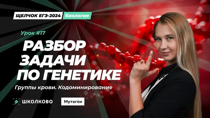 Разбор задачи по генетике: Группы крови. Кодоминирование