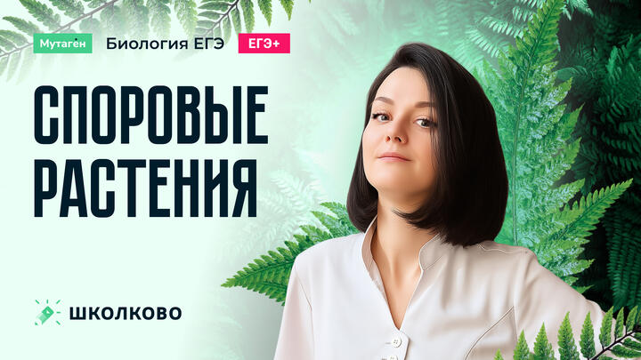 Споровые растения | Углубленный курс подготовки к ЕГЭ 2026 по биологии 