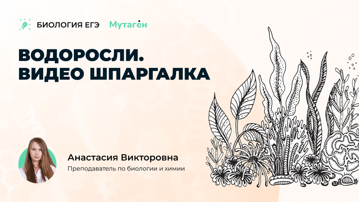 Водоросли. Видео шпаргалка 