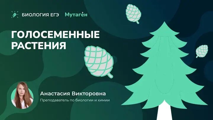 Голосеменные растения