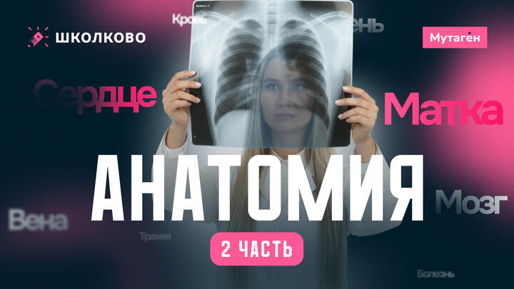 Разбор заданий анатомия 2 часть | Подготовка к ЕГЭ - 2026 по Биологии 