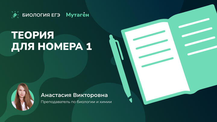 Теория для номера 1 