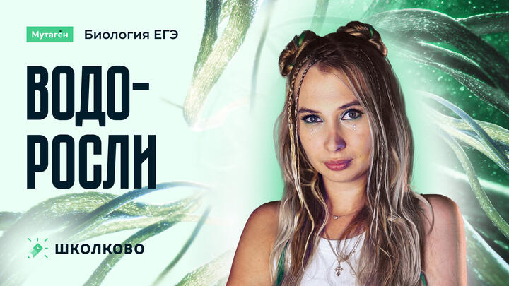 Водоросли | Подготовка к ЕГЭ 2026 по биологии