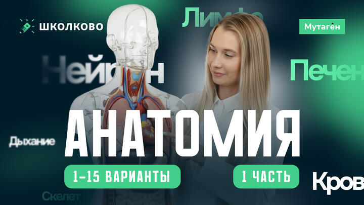 Разбор заданий анатомия 1 часть (1-15 вариант)