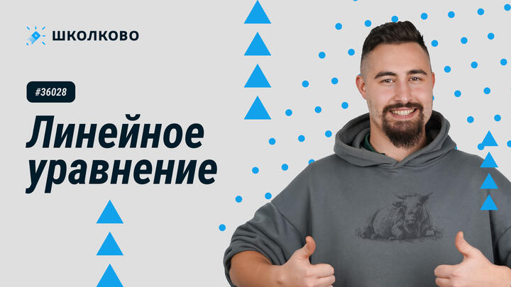 36028. Линейное уравнение