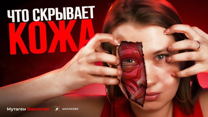 Что скрывает наша кожа? Теория :кожа, терморегуляция ЕГЭ биология.