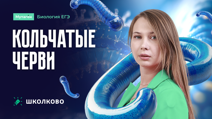 Кольчатые черви